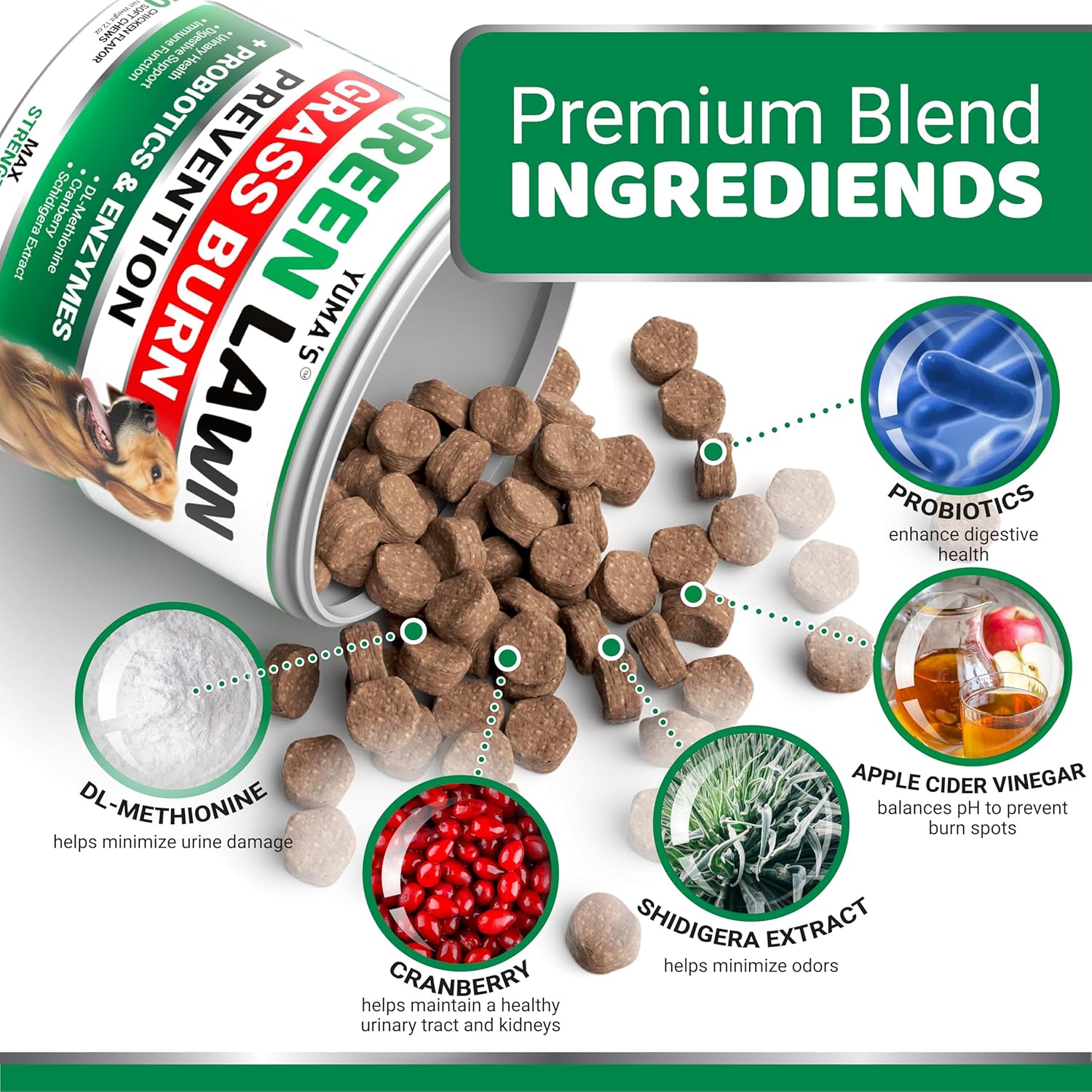 YUMA'S Dog Urine Neutralizer for Lawn - 170 Chews - Advanced Grass Green Savers for Dog Urine - Canine Pee Grass Neutralizer Supplement - Green Lawn Treats with Probiotics and Digestive Enzymes