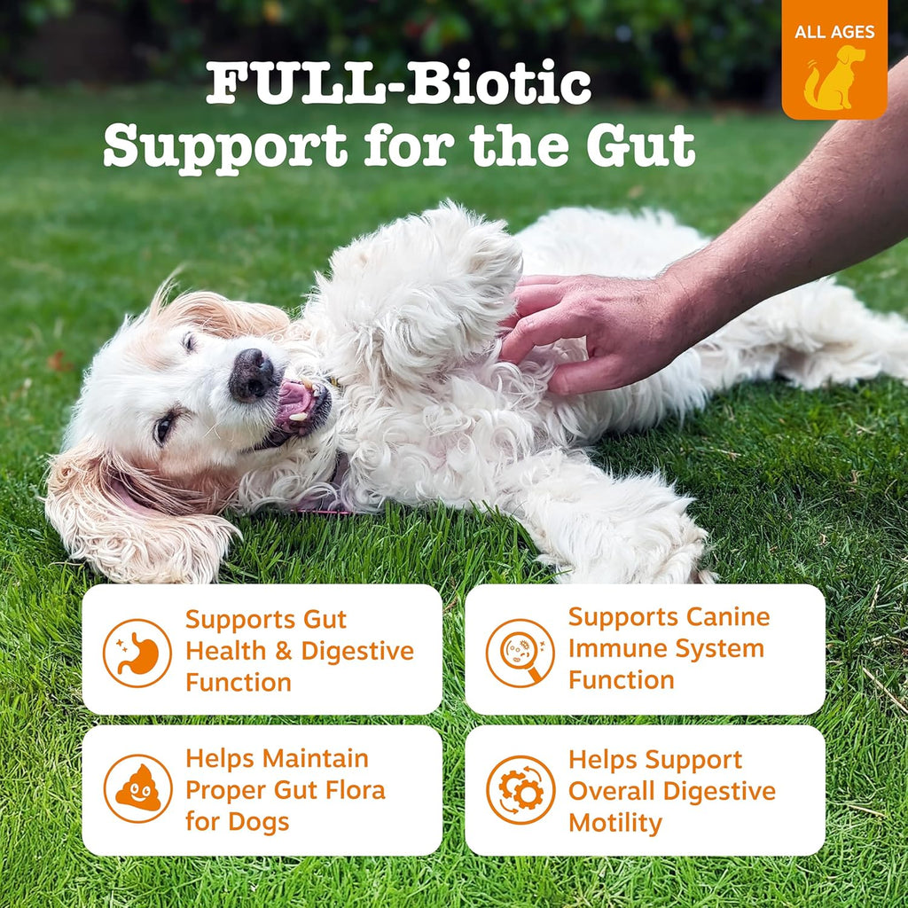 Zesty Paws Vet Strength Probiotics for Dogs, Digestive Health & Gut Flora Support, Dog Supplements, 90 Count