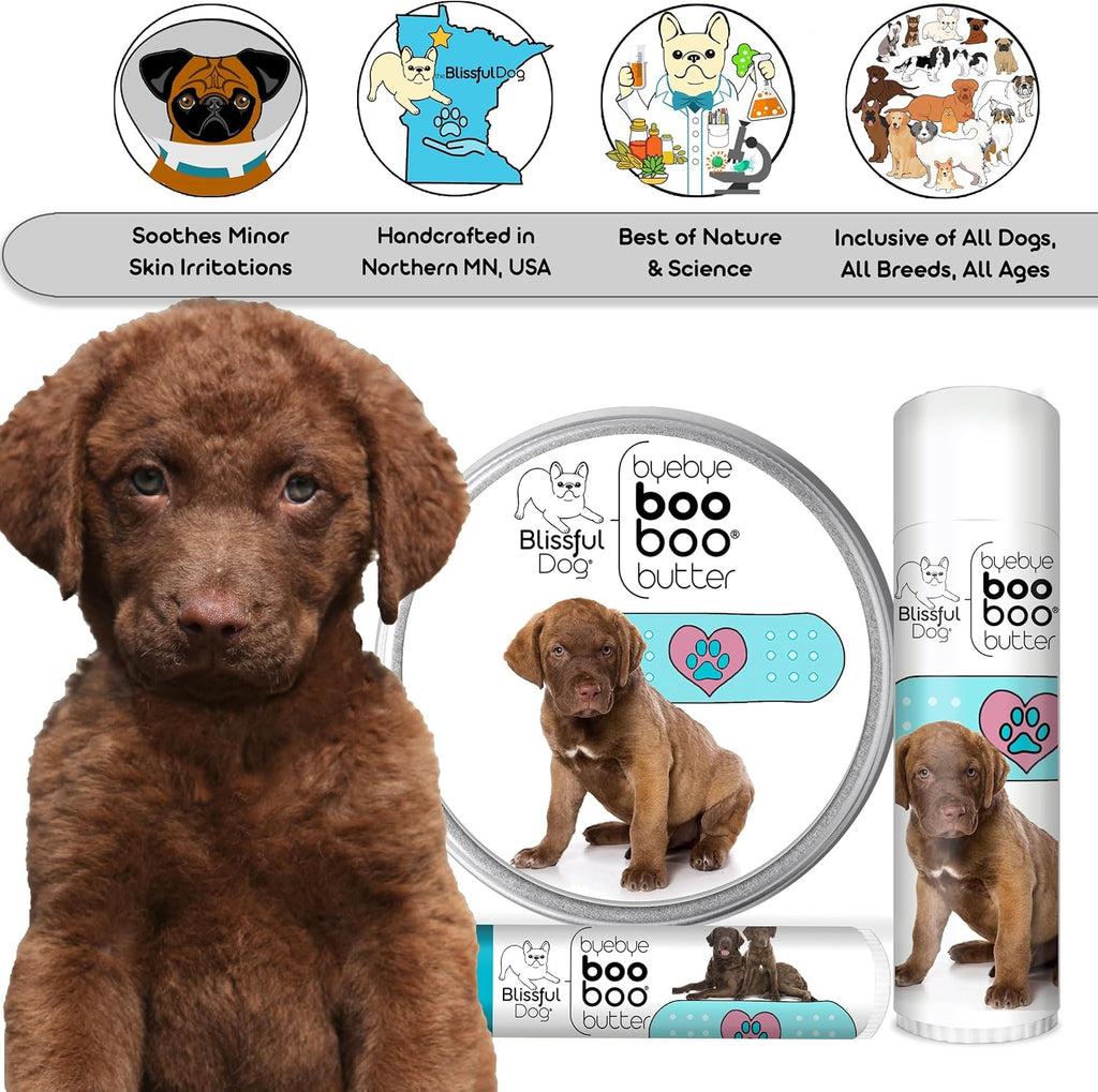 The Blissful Dog Chesapeake Bay Retriever Boo Boo Butter, 1-Ounce