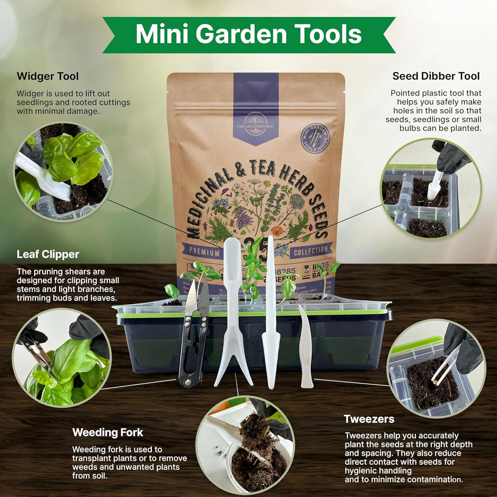 35 Medicinal & Tea Herb Seeds Variety Pack for Indoor & Outdoors. 16,335+ Non-GMO Heirloom Garden Seeds: Anise, Bergamot, Borage, Cilantro, Chamomile, Dandelion, Rosemary Seeds & More
