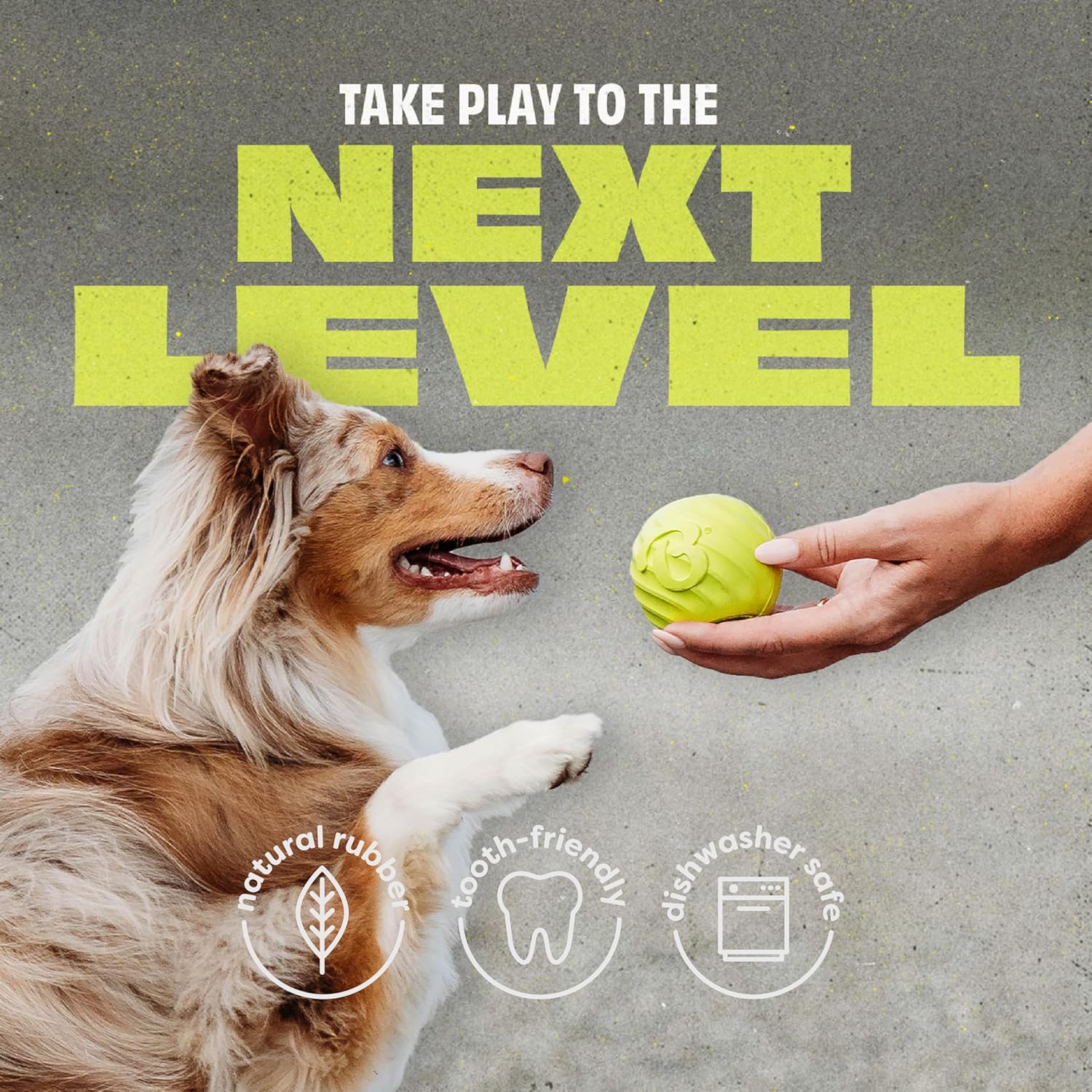 Benebone 4-Pack Rubber Ball