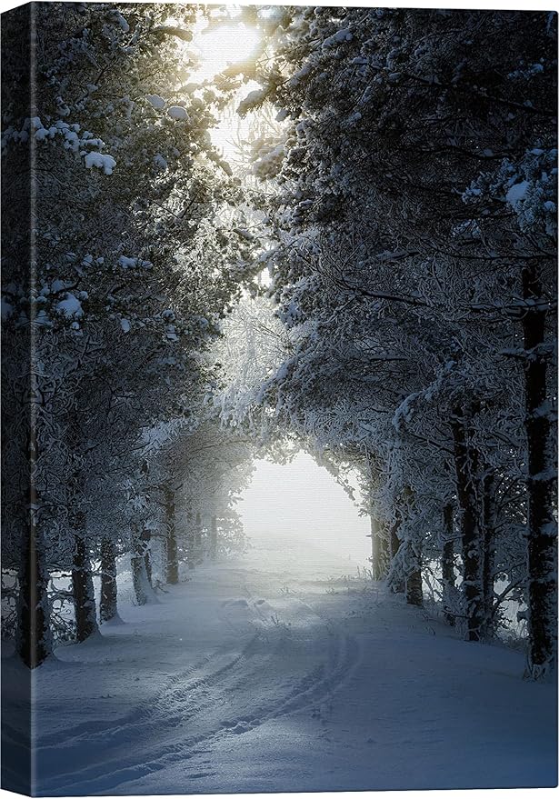 SIGNWIN Canvas Wall Art Woodland Nursery Decor Winter Trees Cool Dramatic Forest Multicolor Nature Photography Rustic - 16x24 inches