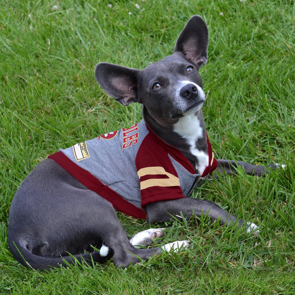 Pets First Hoodie for Dogs & Cats, X-Small. | Collegiate Licensed Dog Hoody Tee Shirt | Sports Hoody T-Shirt for Pets | College Sporty Dog Hoodie Shirt.