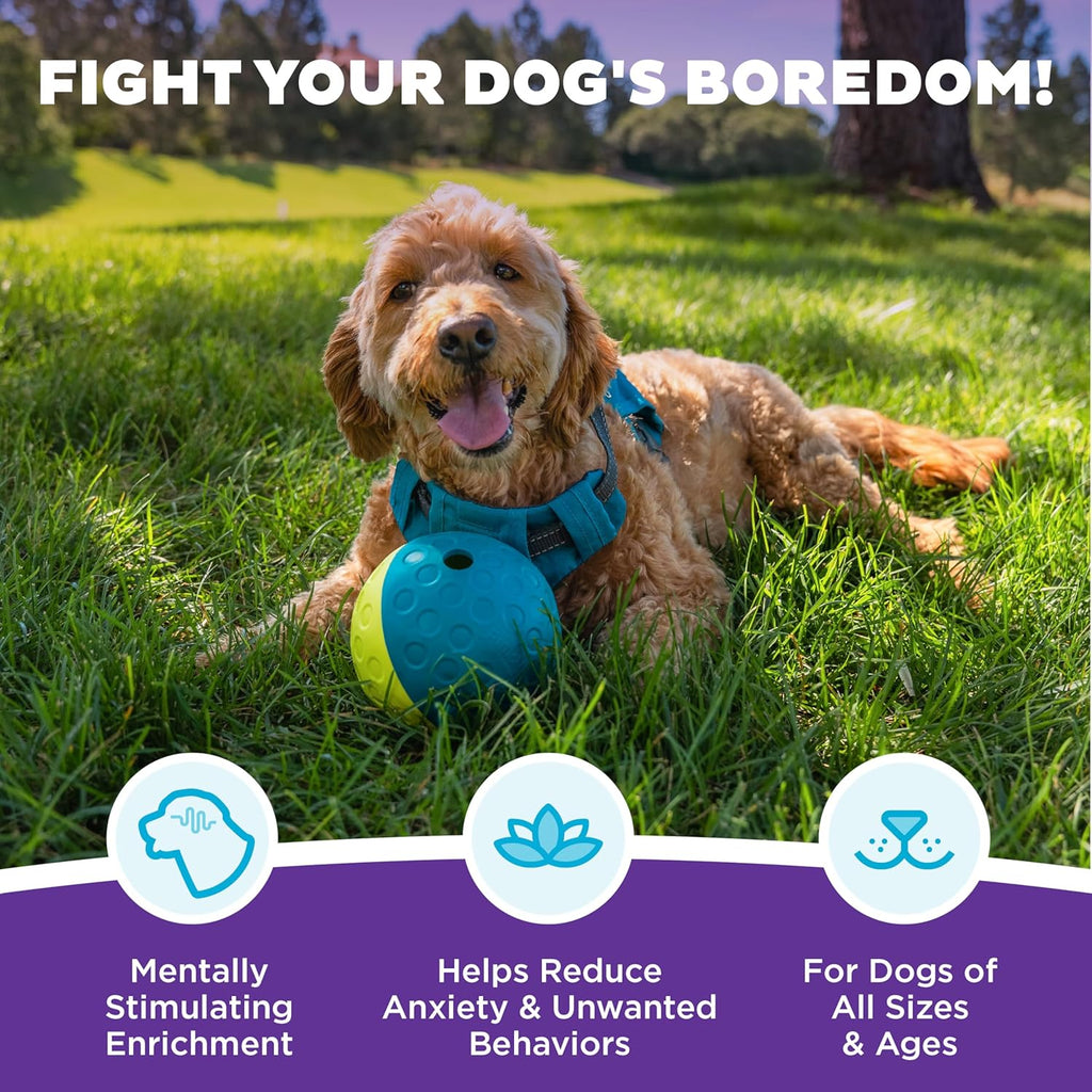 Outward Hound by Nina Ottosson Treat Tumble Interactive Puzzle Ball Dog Toy, Level 1 Beginner, Blue, Small (4.75" Diameter)