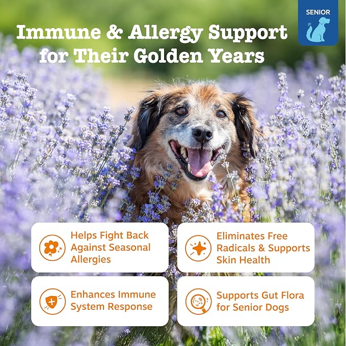 Zesty Paws Senior Allergy Immune Bites - Image 2
