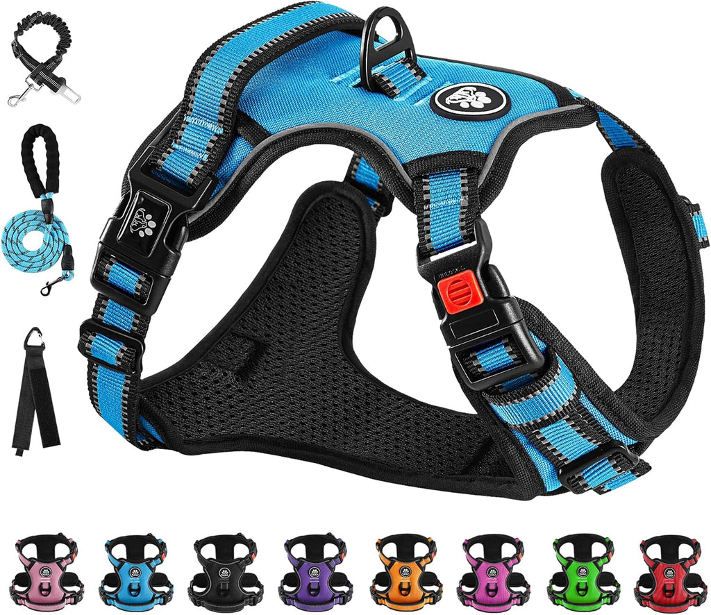 NESTROAD No Pull Dog Vest Harness with Leash, Adjustable Reflective Oxford Pet Harness with Easy Control Handle for Small Dogs, Blue