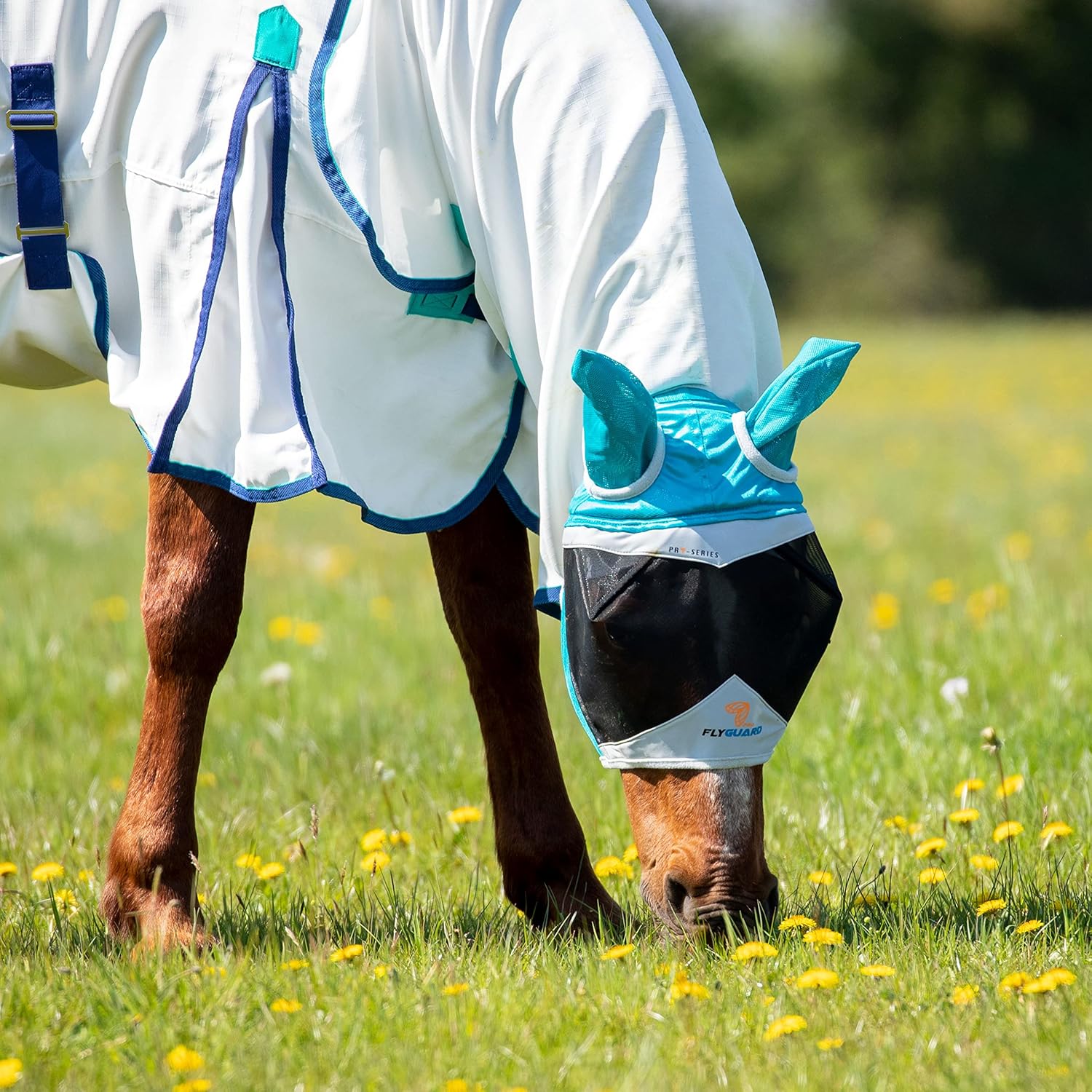 Shires Fine Mesh Horse Equine Fly Mask with Ears 60% UV Protection (Extra Full, Teal)