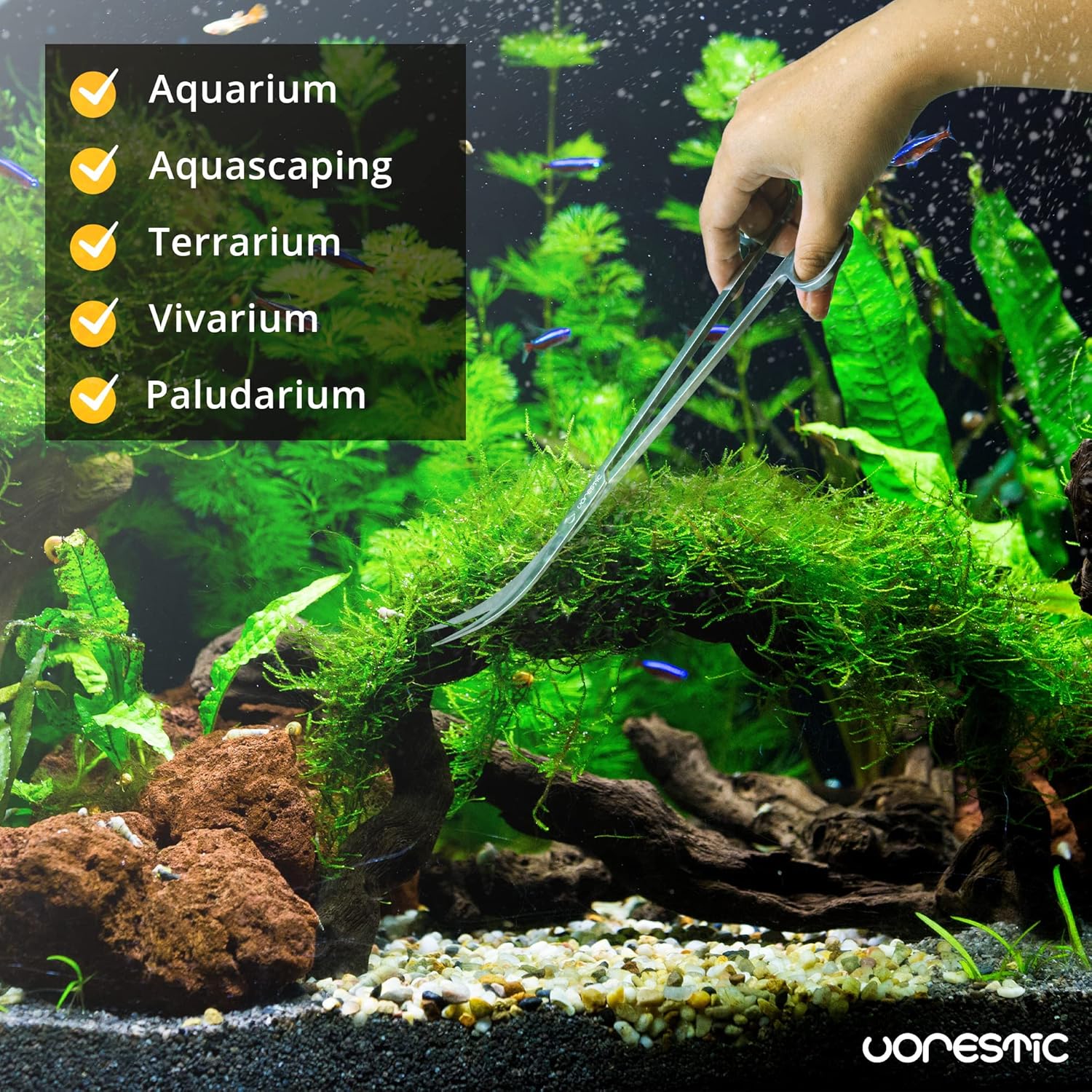 Long Aquarium Scissors for Plants 9.8 inches, Aquascaping Scissors Curved, Aquarium Plant Trimmer, Aquascape Tools, Terrarium Tools for Plants