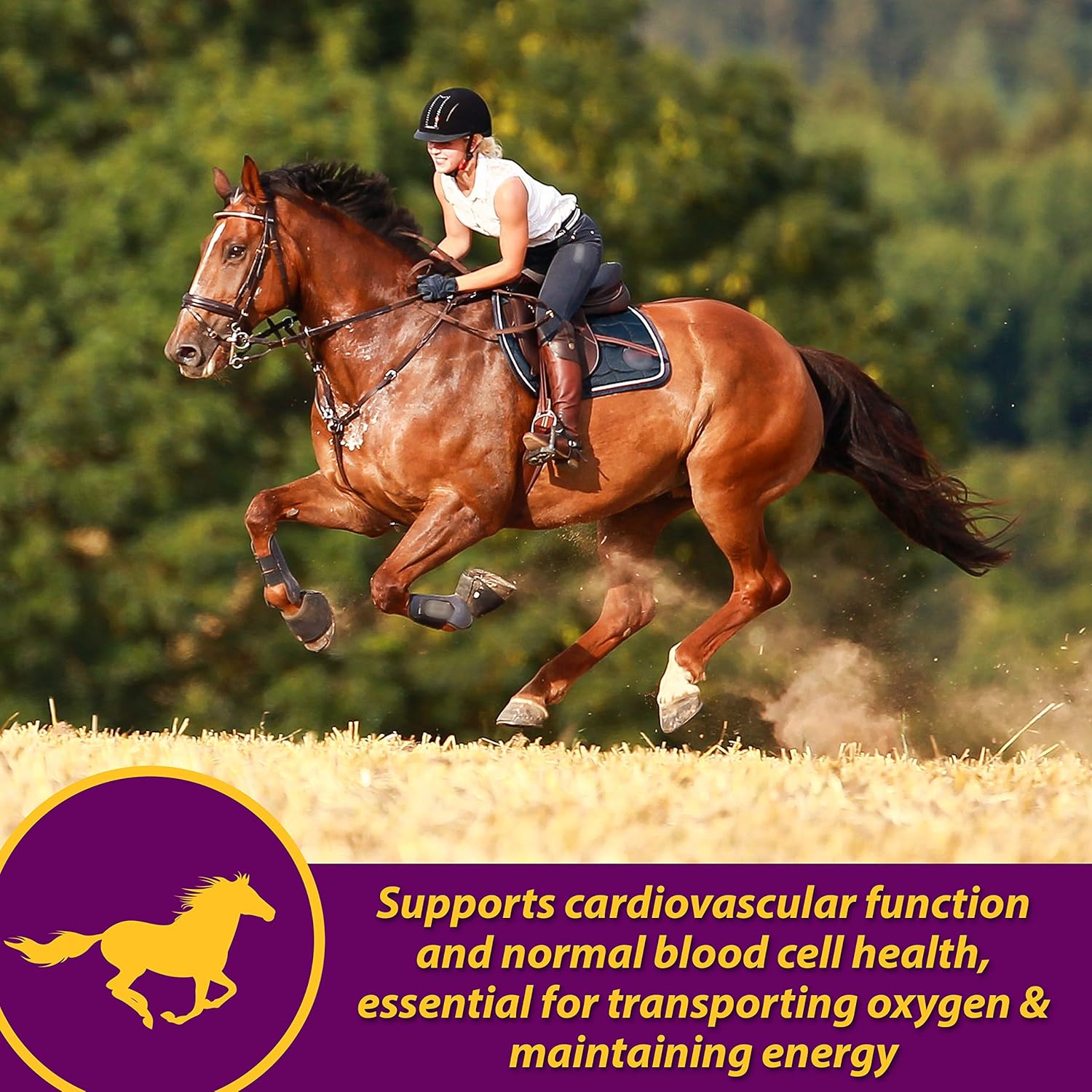 Farnam Horse Health Red Cell Pellets, Vitamin-Iron-Mineral Supplement for Horses, Helps Fill Important Nutritional Gaps in Horse's Diet, 4 lbs., 64-Day Supply