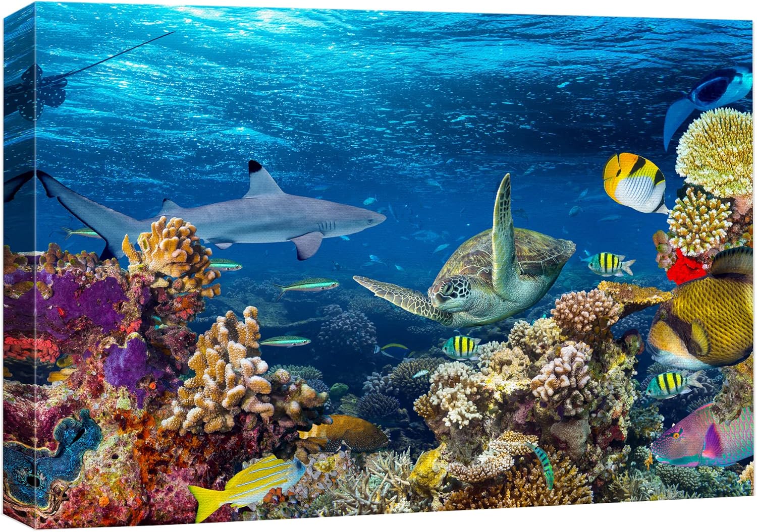 wall26 Canvas Print Wall Art Tropical Island Underwater Turtle Shark Nature Animals Photography Realism Rustic Scenic Landscape Wilderness Earth Colorful for Living Room, Bedroom, Office - 16"x24"