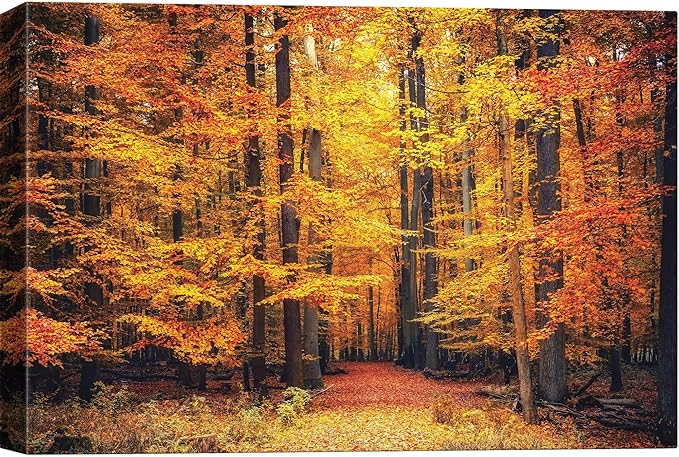 SIGNWIN Canvas Print Wall Art Golden Red Autumn Tree Leaf Forest Trail Nature Wilderness Photography Rustic Landscape for Living Room, Bedroom, Office - 32x48