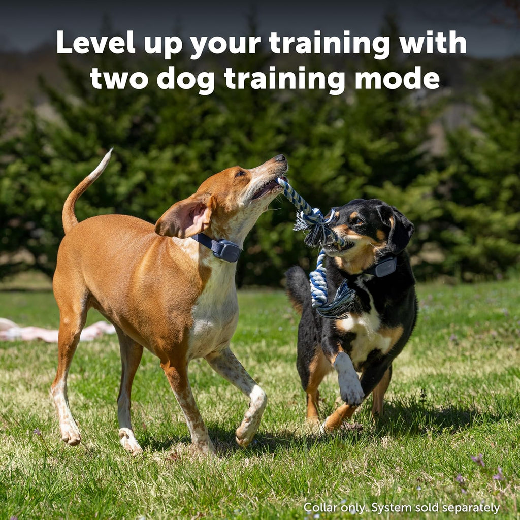 PetSafe Core Remote Trainer Add-A-Dog Collar – Extra Collar for Dog Training Collar with Remote – Waterproof – Tone, Vibration and 15 Levels of Static – Built-in LED Light