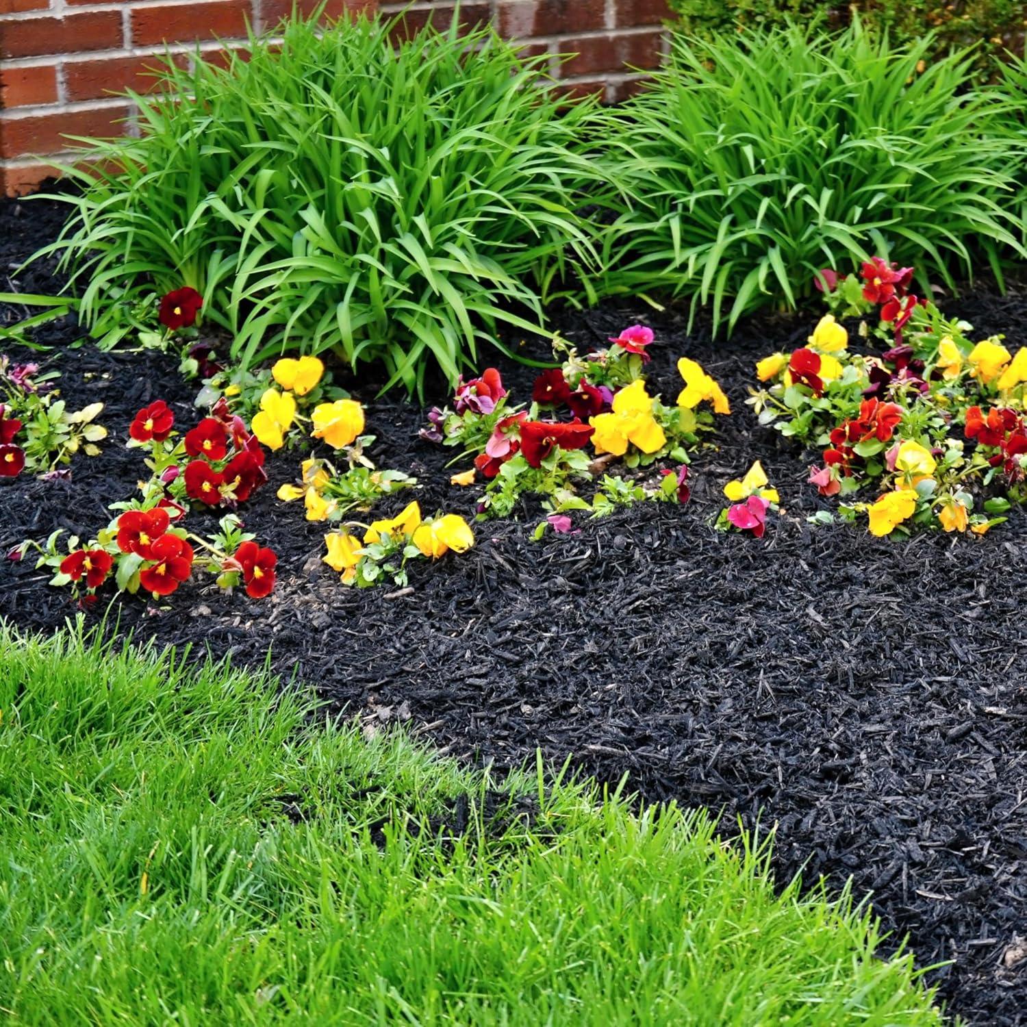 Premium Black Wood Mulch for Landscaping, Gardens, Lawns, Potting Media, and Potted Plants (1.3 CF - 37 L - 39 QTS)