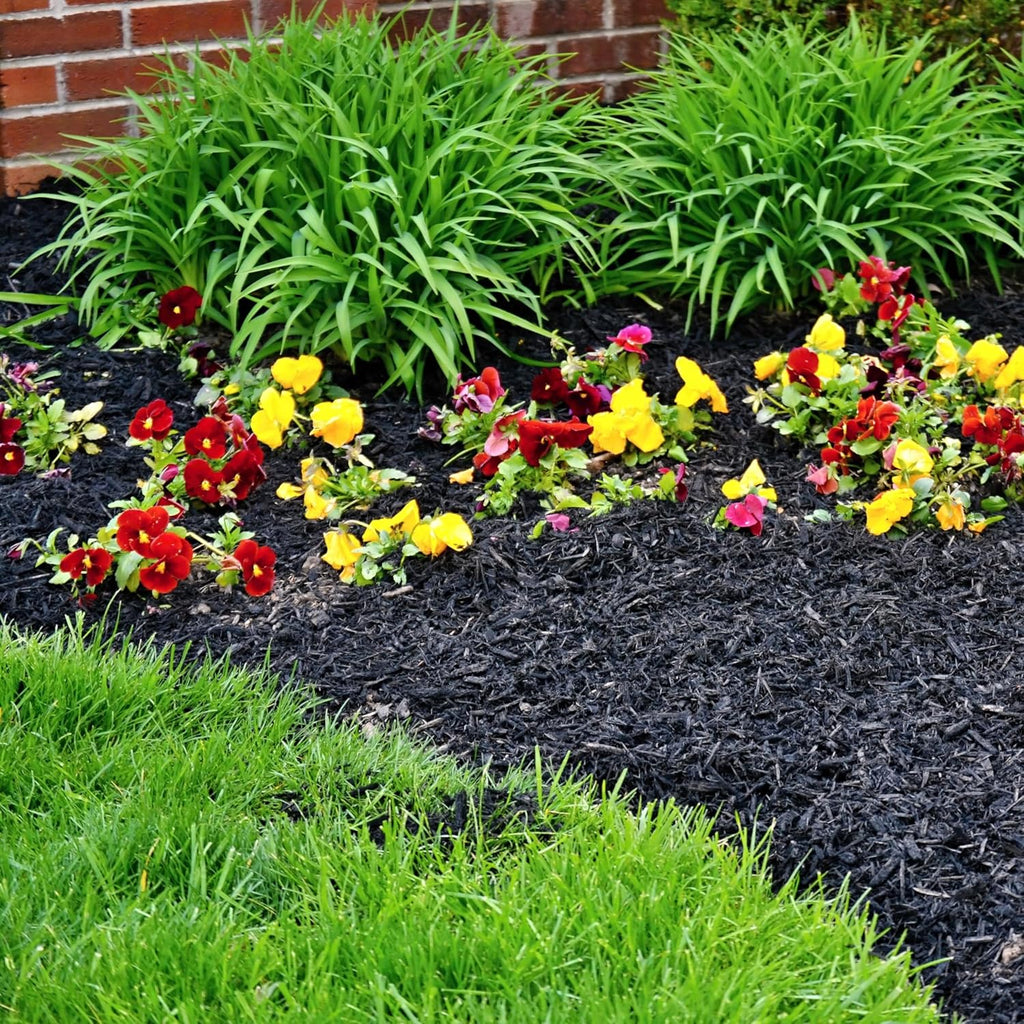 Premium Black Wood Mulch for Landscaping, Gardens, Lawns, Potting Media, and Potted Plants (0.2 CF - 4.8 L - 5 QTS)