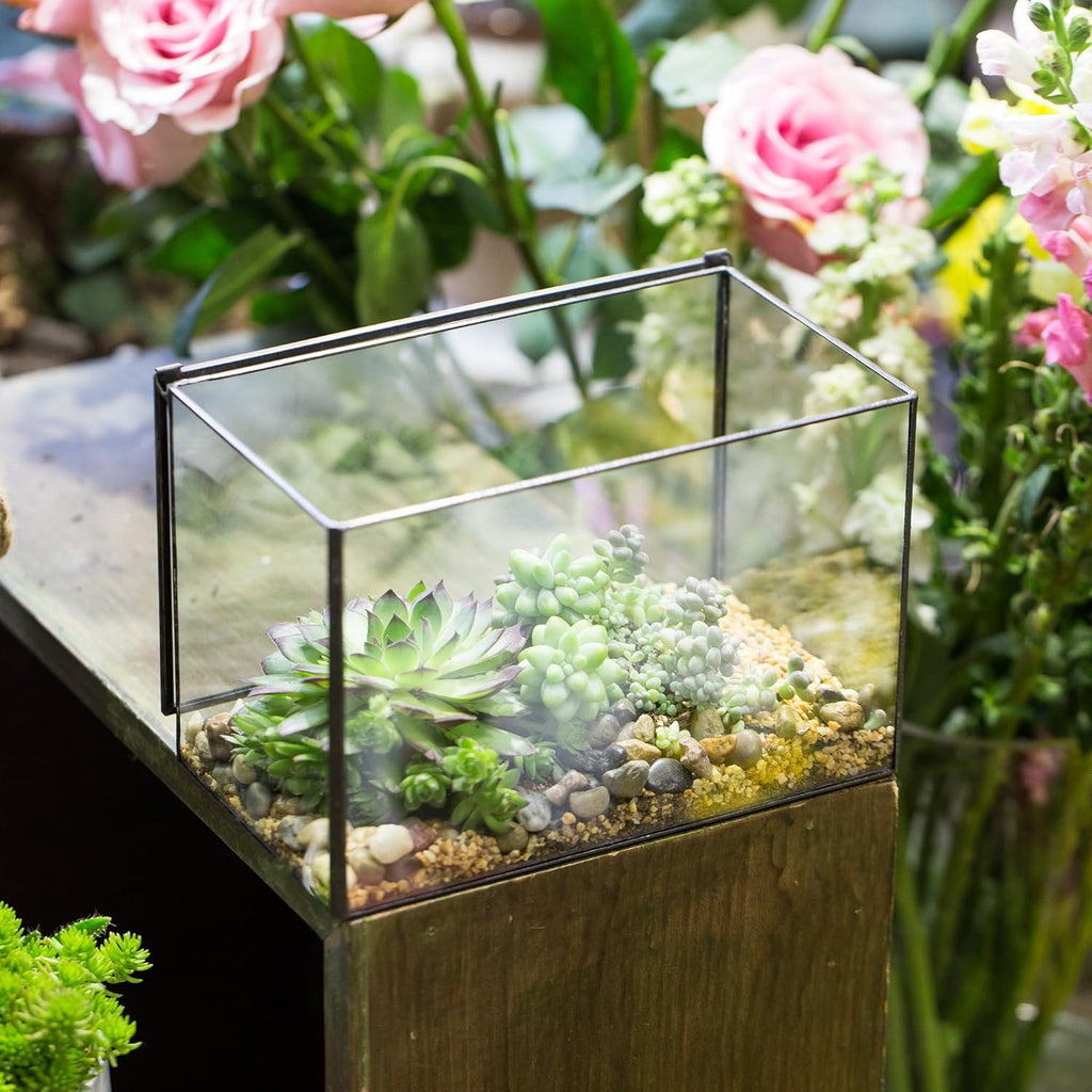 NCYP Small Rectangle Glass Terrarium Planter with Lid, 6.7 x 4 x 4.8 Inches Clear Black Geometric Flower Pot Box for Succulents Air Plant Fern, Tabletop Decoration (No Plants)