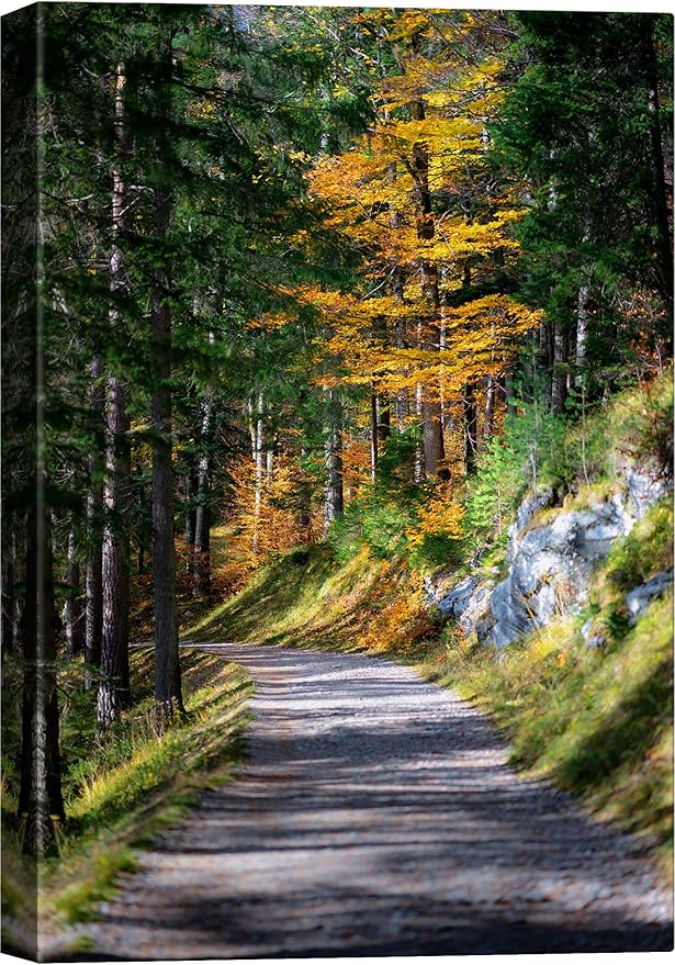 SIGNWIN Canvas Wall Art Green Forest Dramatic Forest Landscape Living Room Multicolor Photography Rustic - 32x48 inches