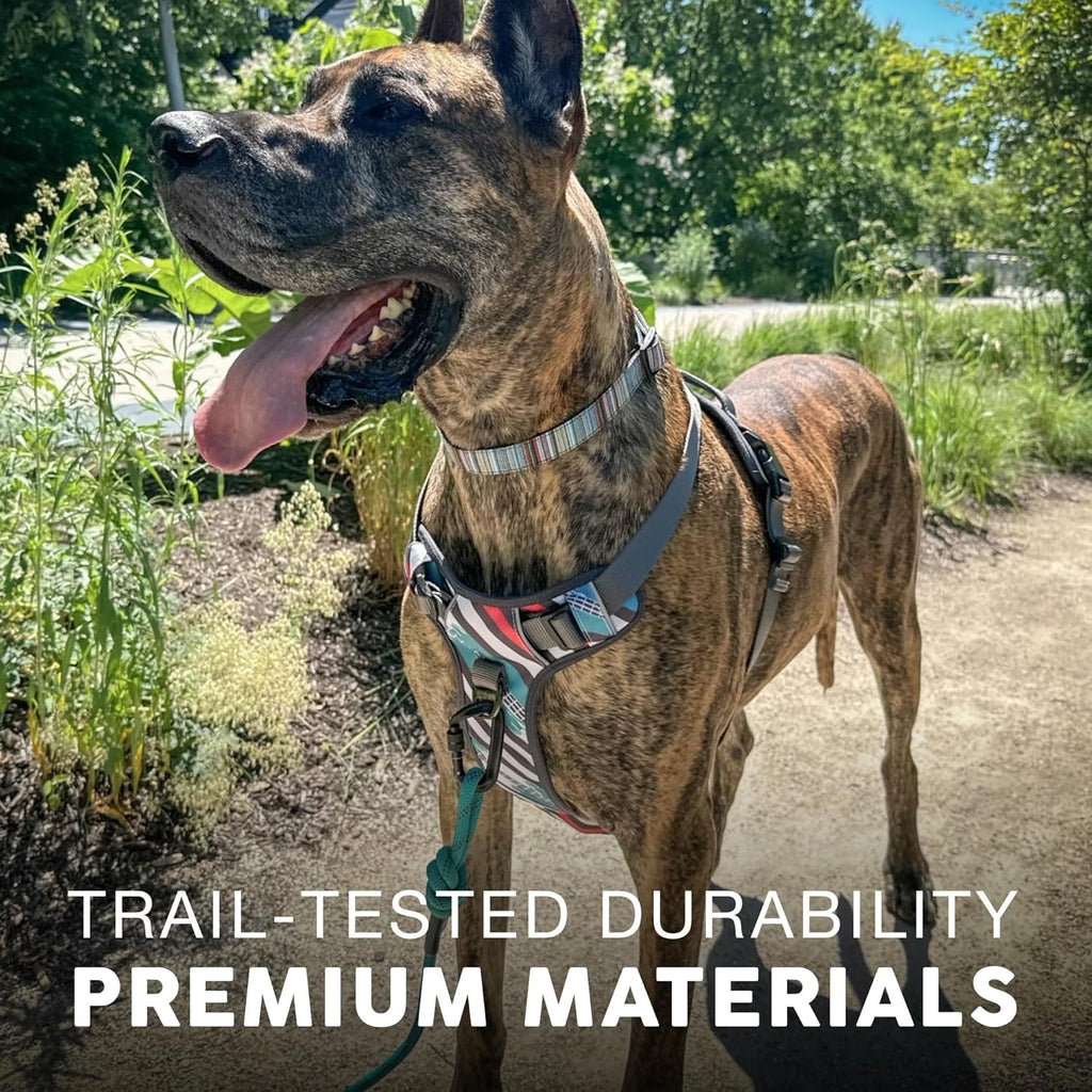 Embark Adventure Dog Harness, Reflective Trim XL Dog Harness for Extra Large Dogs No Pull - Military Grade Nylon, 2 Leash Clips & Gel Lined Handle.