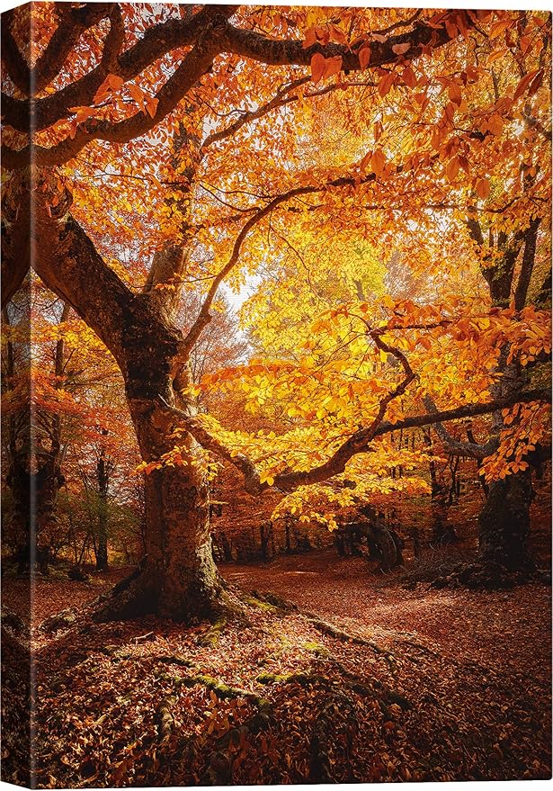 SIGNWIN Canvas Print Wall Art Autumn Red Leaf Oak Tree Forest Nature Wilderness Photography Modern Art Farmhouse/Country Landscape Colorful Multicolor Ultra for Living Room, Bedroom, Office - 32x48