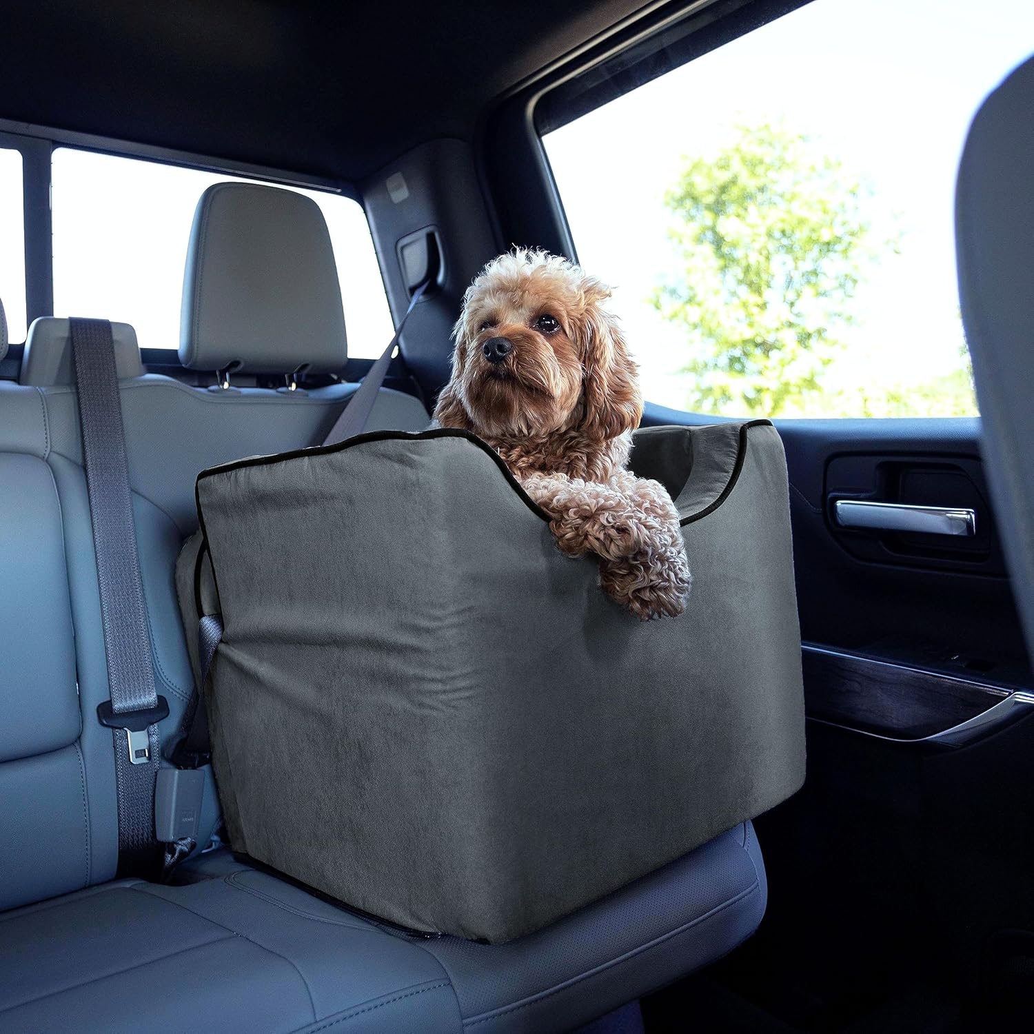 Snoozer Luxury Lookout Pet Car Seat, Small Luxury I, Anthracite/Black