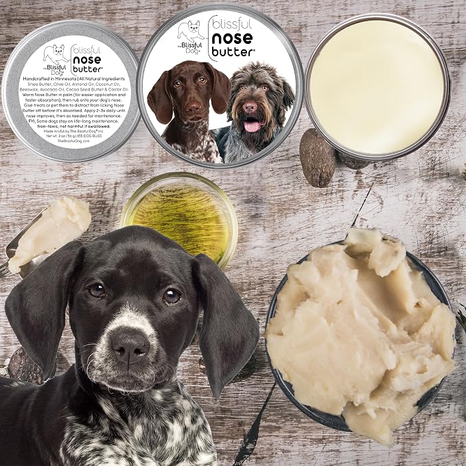 The Blissful Dog German Shorthaired Pointer Unscented Nose Butter - Image 2
