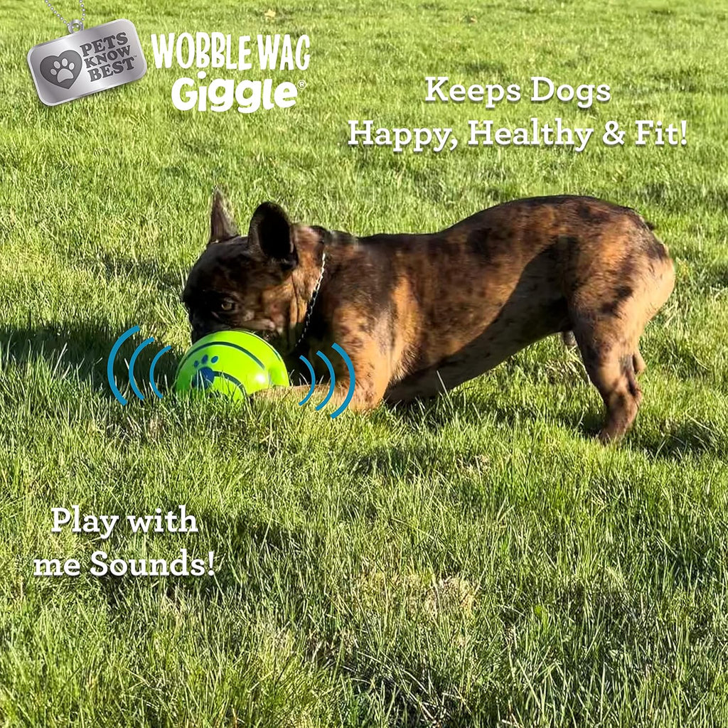 Wobble Wag Giggle & Glow | Rolling Enrichment Toy for Fun Playtime, Interactive Play for Indoor or Outdoor, Keeps Dogs & Puppies Large, Medium or Small Busy & Moving, As Seen on TV | Pack of 2