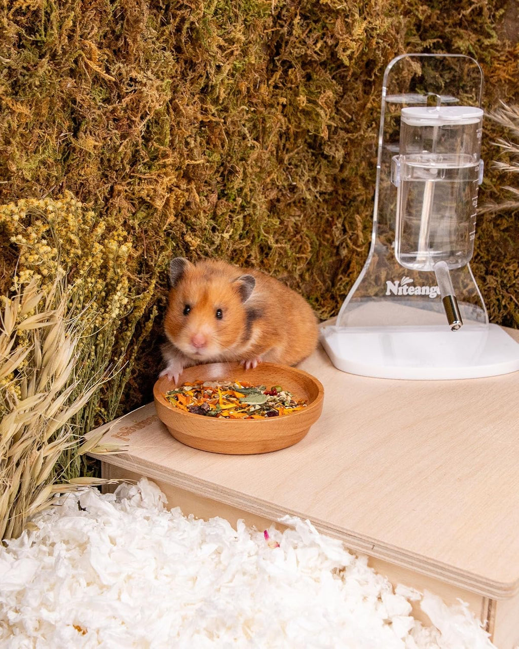 Niteangel Golden Hamster Food & Treats - Small Animal Natural Food for Syrian Golden Hamsters or Other Small-Sized Pets