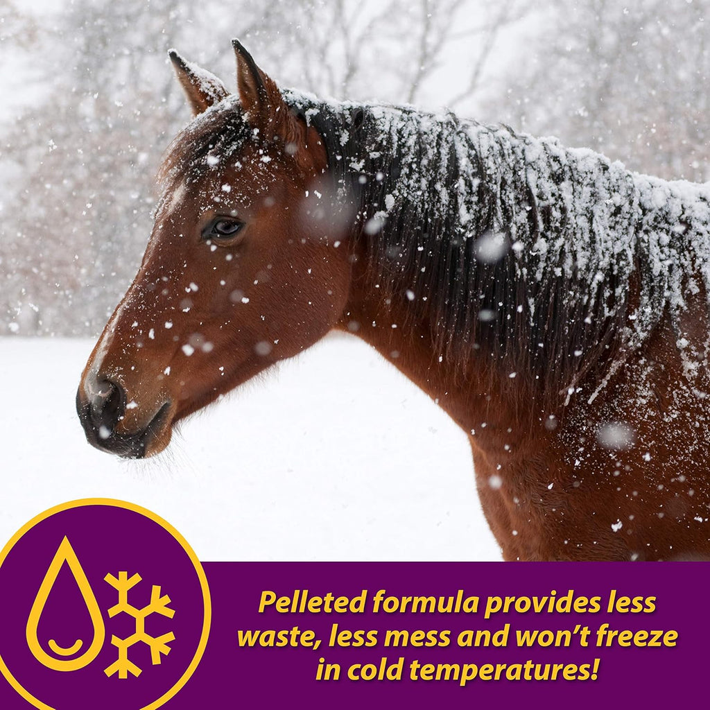 Farnam Horse Health Red Cell Pellets, Vitamin-Iron-Mineral Supplement for Horses, Helps Fill Important Nutritional Gaps in Horse's Diet, 4 lbs., 64-Day Supply