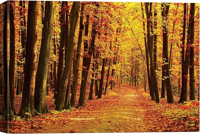 SIGNWIN Canvas Print Wall Art Walk Through Red Yellow Leaf Autumn Forest Nature Wilderness Photography Modern Art Rustic Landscape Relax/Calm Multicolor for Living Room, Bedroom, Office - 32x48