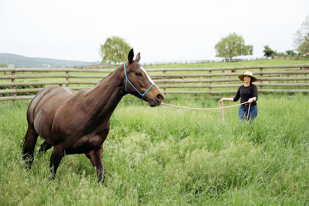 22' Long Line with SS O Ring and Carabiner (Black with Beige)