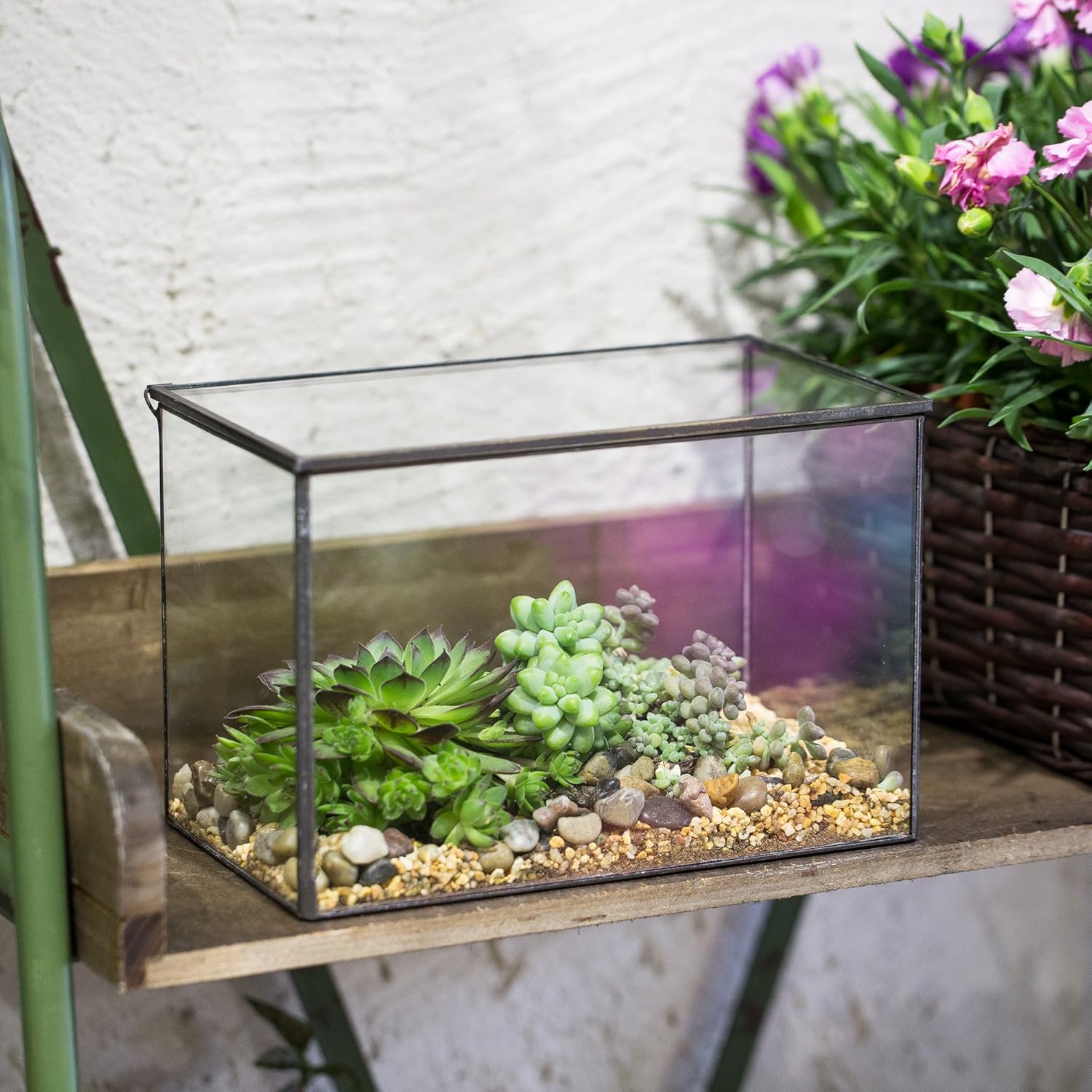 NCYP Small Rectangle Glass Terrarium Planter with Lid, 6.7 x 4 x 4.8 Inches Clear Black Geometric Flower Pot Box for Succulents Air Plant Fern, Tabletop Decoration (No Plants)