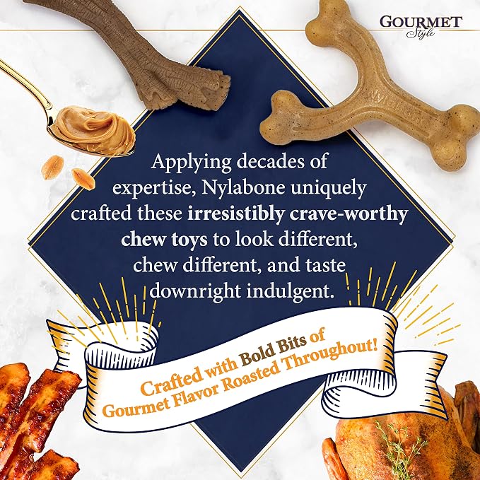 Nylabone Gourmet Style Wishbone Strong Chew Toy - Image 9