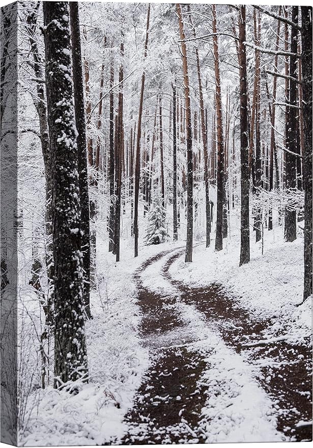 SIGNWIN Canvas Wall Art Winter Trees Cool Dramatic Forest Multicolor Nature Photography Rustic - 16x24 inches