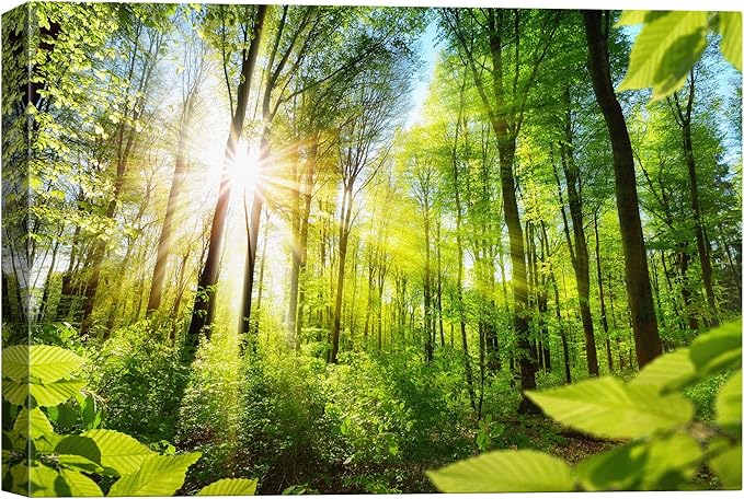 SIGNWIN-Canvas Wall Art-Sunshine in The Forest -Canvas Prints Home Artwork Decoration for Living Room,Bedroom - 24x36 inches