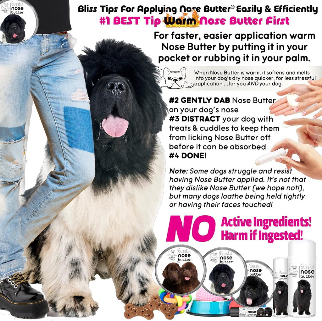 The Blissful Dog Newfoundland Nose Butter for Dry, Cracked Skin, Lick-Safe Dog Nose Balm with Moisturizing Shea Butter, Almond, Olive, and Essential Oils, Pet Supplies, Uncented, 1 oz.