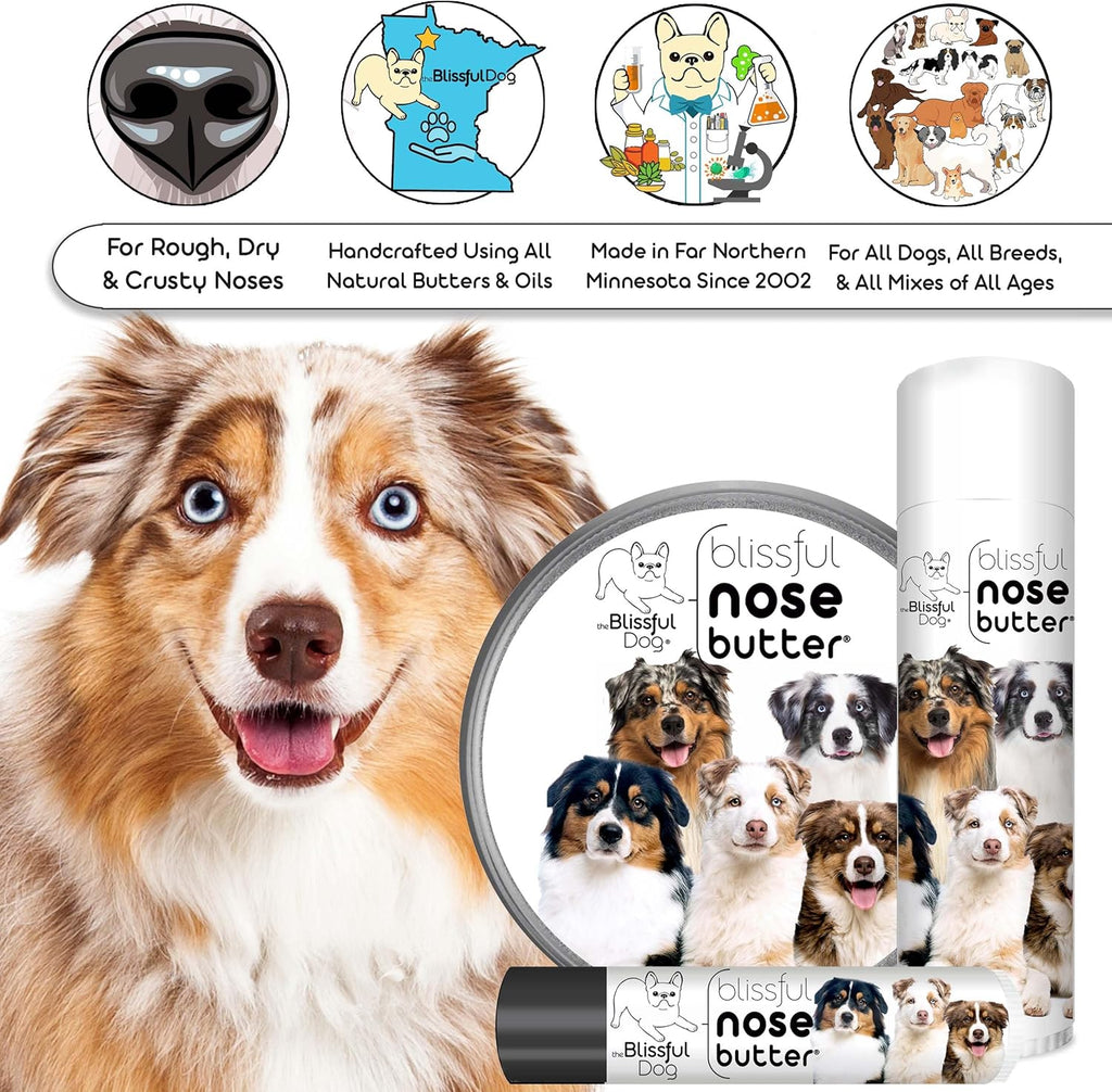 The Blissful Dog Australian Shepherd Nose Butter for Dry, Cracked Skin, Lick-Safe Dog Nose Balm with Moisturizing Shea Butter, Almond, Olive, and Essential Oils, Pet Supplies, Uncented, 8 oz.
