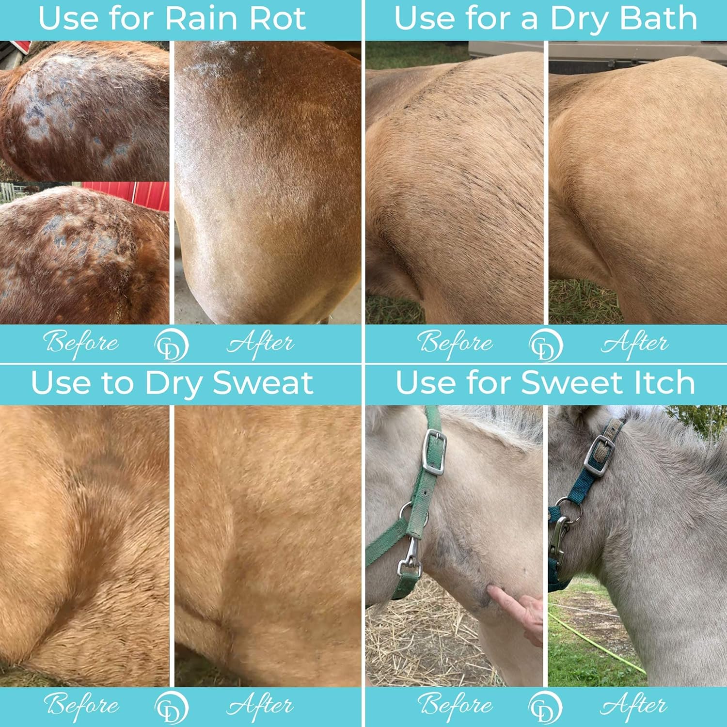 COAT DEFENSE Daily Grooming Powder for Horses | Dry Shampoo with Natural Ingredients | 64 oz Formula for Fresh, Healthy-Looking Coat