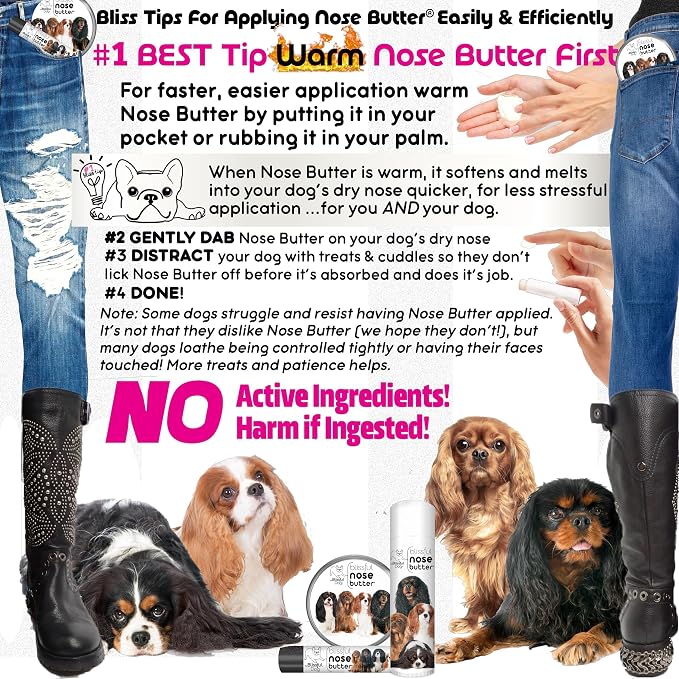 The Blissful Dog All 4 Cavalier King Charles Spaniel Unscented Nose Butter - Image 4