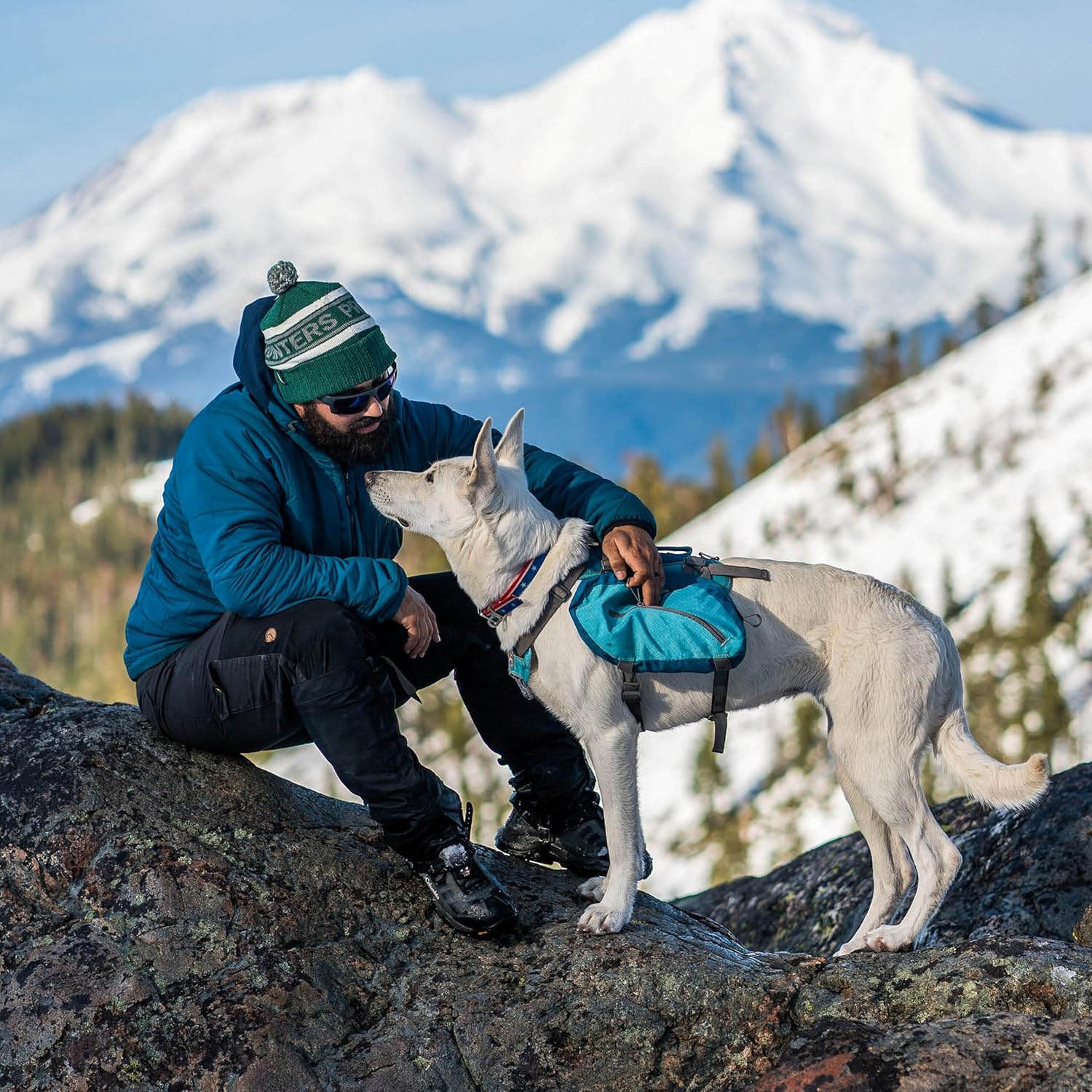 Kurgo Big Baxter Dog Backpack, Dog Saddlebag, Dog Pack, Adjustable Saddlebag for Hiking, Walking, Running, Camping, Chili Red/Barn Red