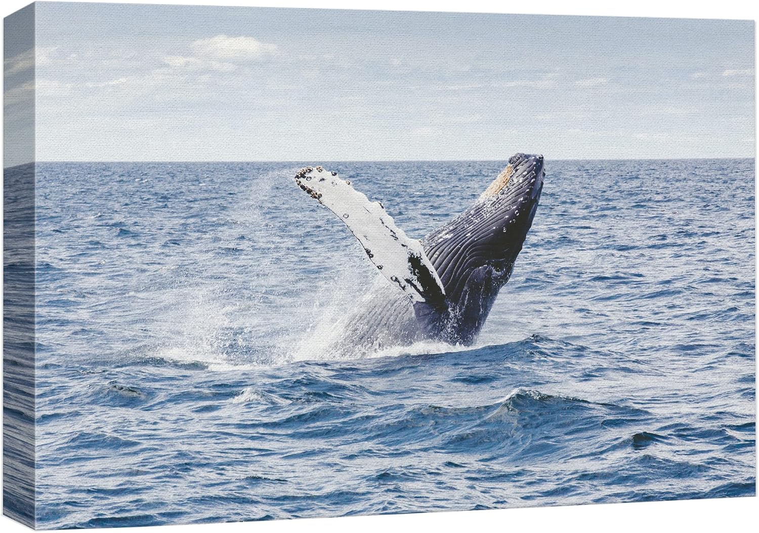 wall26 Canvas Print Wall Art Tropical Ocean Sea Water Horizon Blue Whale Nature Animals Photography Realism Rustic Scenic Landscape Wilderness Colorful for Living Room, Bedroom, Office - 16"x24"