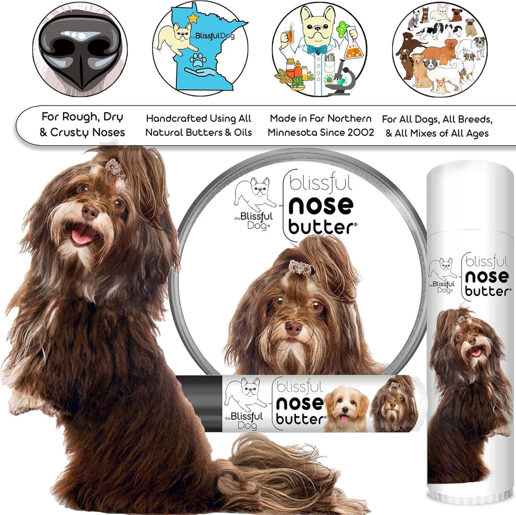 The Blissful Dog Havanese Unscented Nose Butter - Dog Nose Butter, 0.15 Ounce