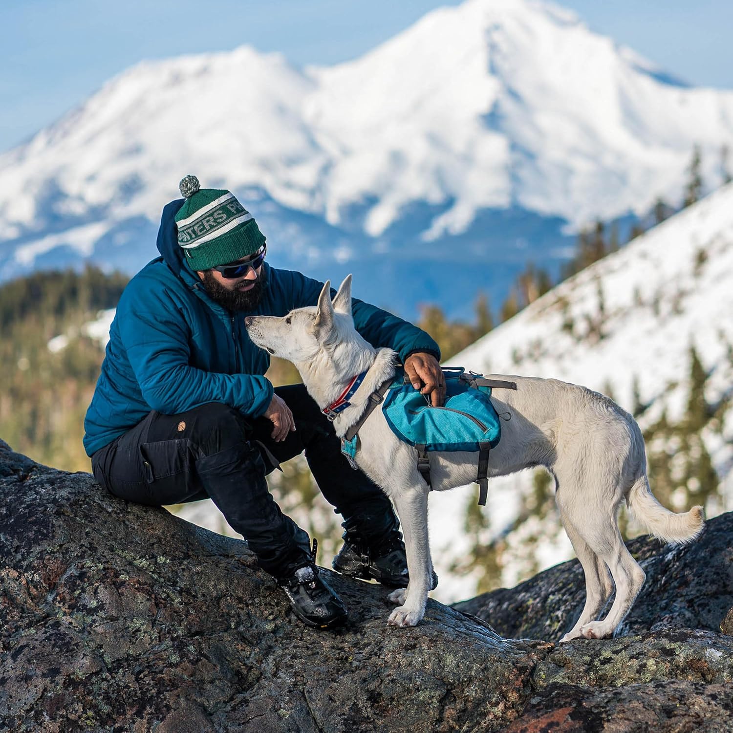 Kurgo Big Baxter Dog Backpack, Dog Saddlebag Pack for Pets, Adjustable Saddlebag for Hiking, Walking, Running, Camping, Coastal Blue