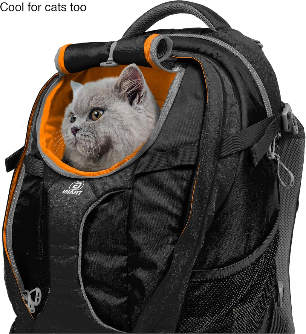 Kurgo G-Train - Dog Carrier Backpack for Small Pets - Cat & Dog Backpack for Hiking, Camping or Travel - Chest Straps & Hip Belt - Reflective - Two Water Bottle Sleeves - Waterproof Bottom (Black)