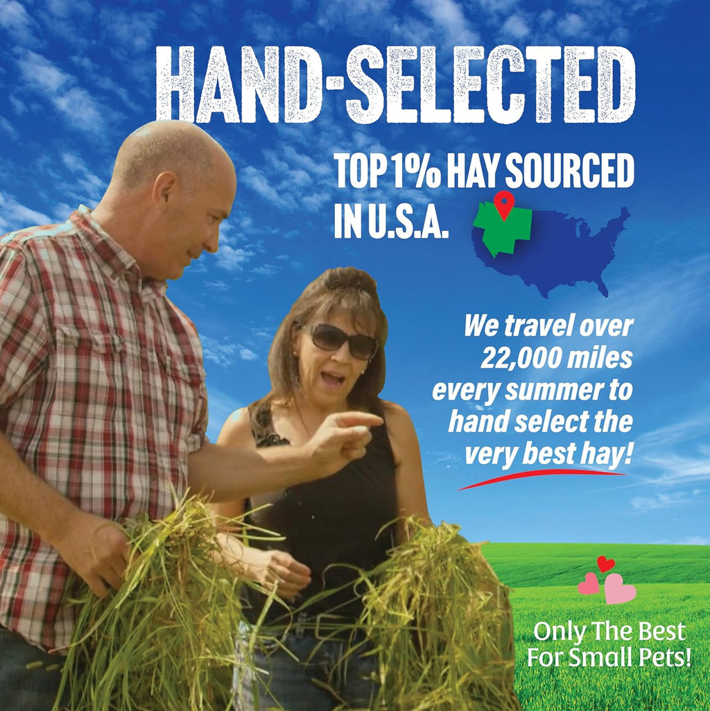 Small Pet Select 1st Cutting Timothy Hay, Animal Food for Guinea Pig, Rabbit, Hamster, Bunny, or Chinchilla, Natural Hay Grown in the USA, 2lb