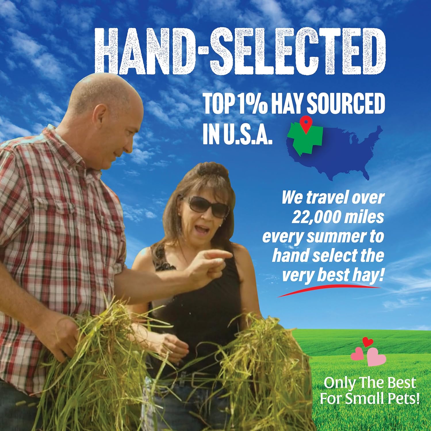Small Pet Select 1st Cutting Timothy Hay, Animal Food for Guinea Pig, Rabbit, Hamster, Bunny, or Chinchilla, Natural Hay Grown in the USA, 2lb