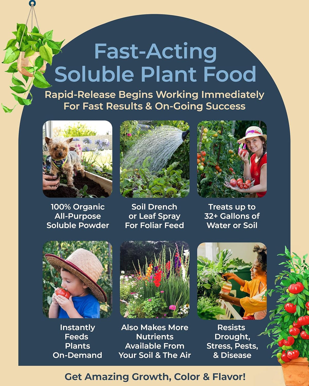 Organic Plant Magic - Truly Organic™ Fast-Acting Water Soluble Plant Food - All-Purpose Fertilizer Concentrate for Flower, Vegetable, Herb, Fruit Tree, Garden & Indoor Houseplants [One 1/2 lb Bag]