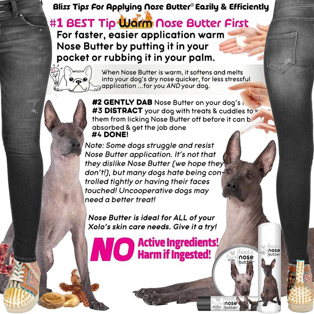 The Blissful Dog Xoloitzcuintli Nose Butter for Dry, Cracked Skin, Lick-Safe Dog Nose Balm with Moisturizing Shea Butter, Almond, Olive, and Essential Oils, Pet Supplies, Uncented, 0.50 oz.