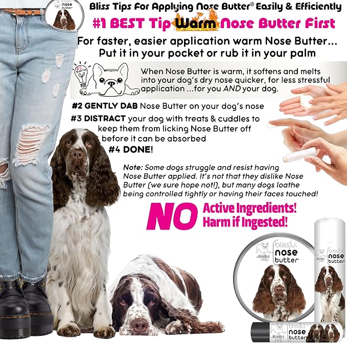 The Blissful Dog Springer Spaniel Unscented Nose Butter - Image 4