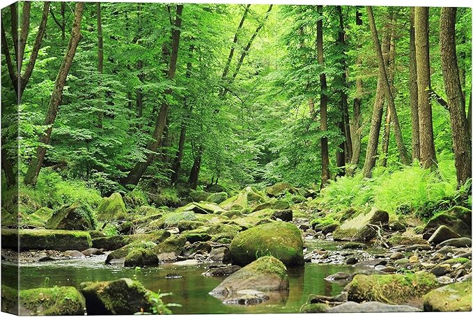 SIGNWIN-Canvas Wall Art-Sunshine in The Forest -Canvas Prints Home Artwork Decoration for Living Room,Bedroom - 32x48 inches