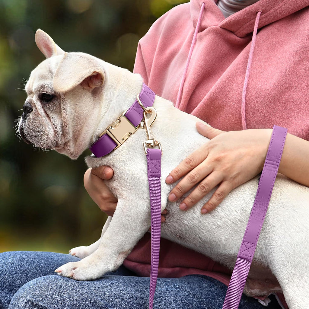 PET ARTIST PU Leather Dog Collar, Bright & Stylish Purple Dog Collar Girl with Quick Release Gold Metal Buckle, Soft Nylon Padded Durable Pet Collars Adjustable for Small Dogs, Neck Fit 9-14"