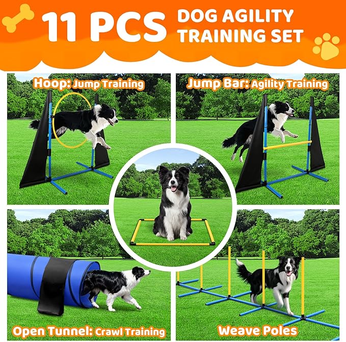 Dog Agility Course Backyard Set - Image 4